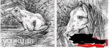 点击开新窗口欣赏