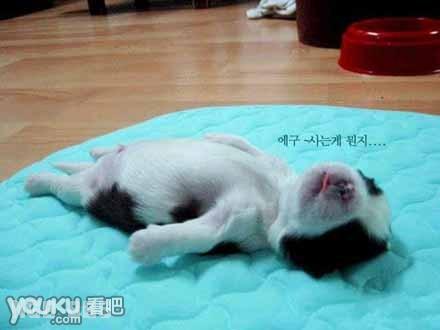 点击开新窗口欣赏