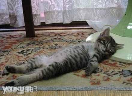点击开新窗口欣赏