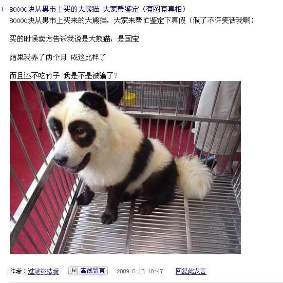 点击开新窗口欣赏