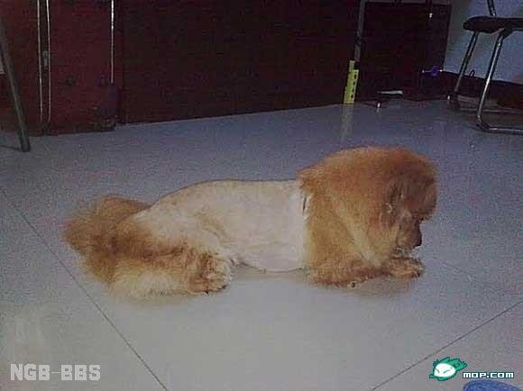 点击开新窗口欣赏