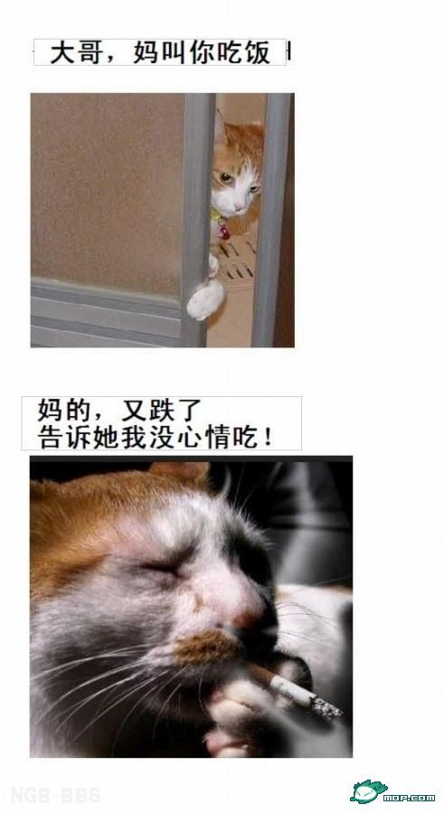点击开新窗口欣赏