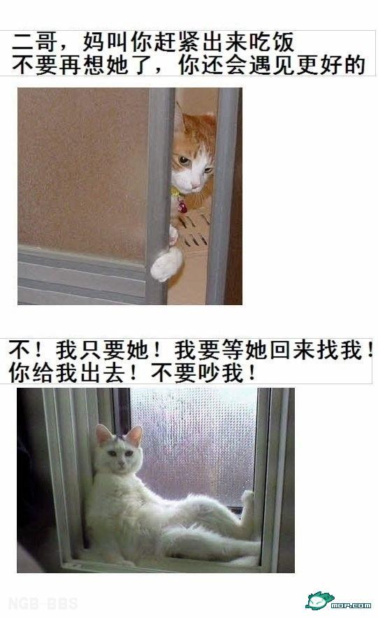 点击开新窗口欣赏