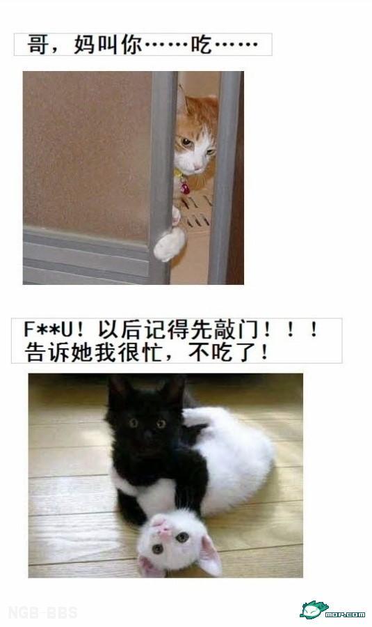 点击开新窗口欣赏
