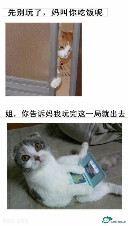 点击开新窗口欣赏