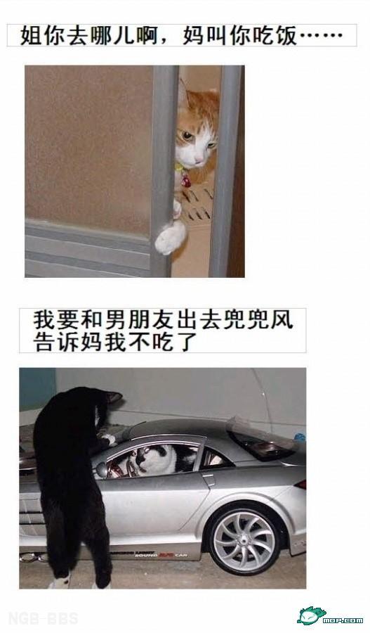 点击开新窗口欣赏