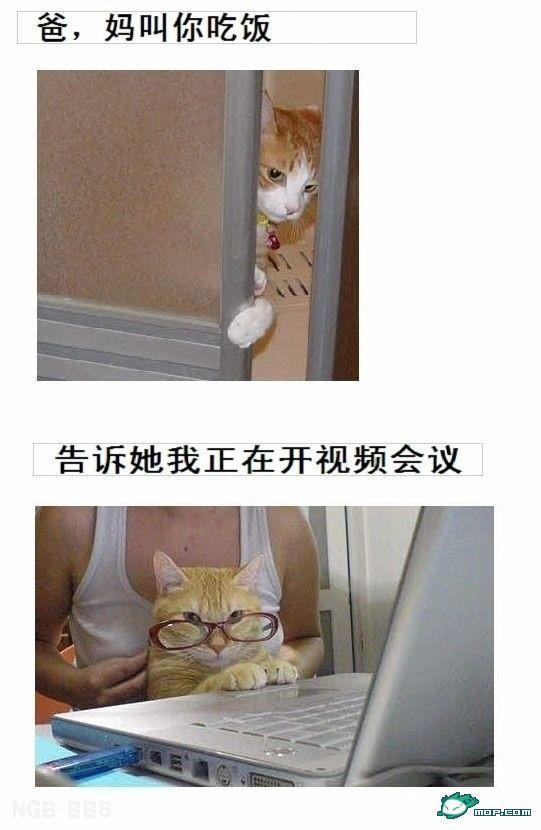 点击开新窗口欣赏