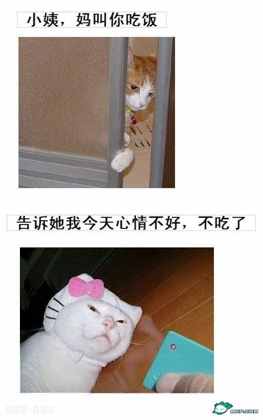 点击开新窗口欣赏