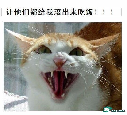 点击开新窗口欣赏