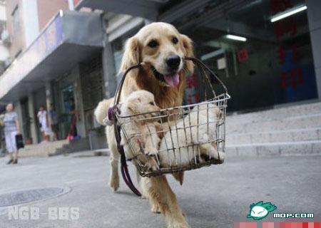 点击开新窗口欣赏