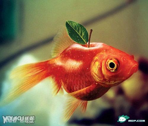 点击开新窗口欣赏