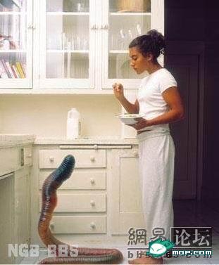点击开新窗口欣赏