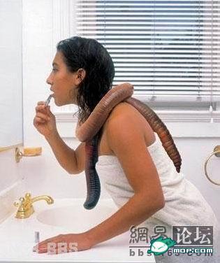 点击开新窗口欣赏