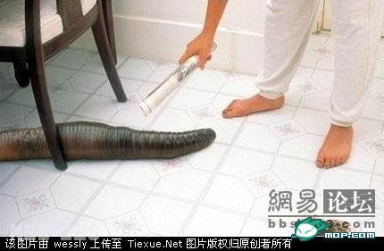 点击开新窗口欣赏