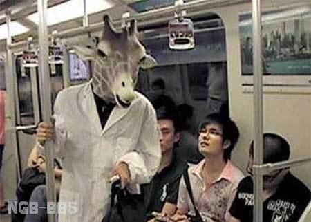 点击开新窗口欣赏