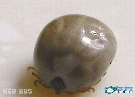 点击开新窗口欣赏