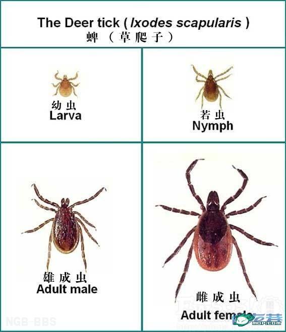 点击开新窗口欣赏