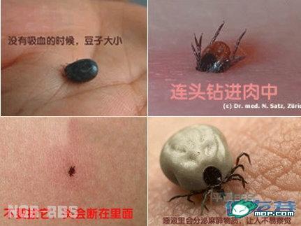点击开新窗口欣赏