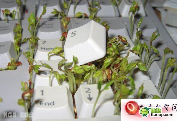 点击开新窗口欣赏