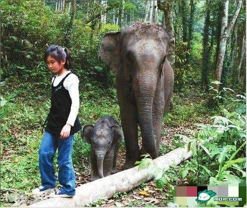 点击开新窗口欣赏